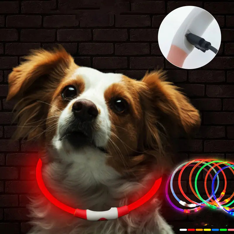 USB Rechargeable Luminous Dog Collar