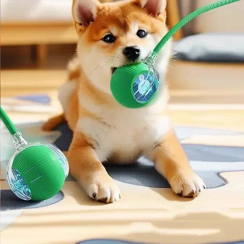Smart Interactive Pet Ball