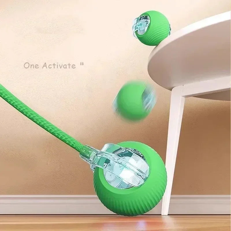 Smart Interactive Pet Ball