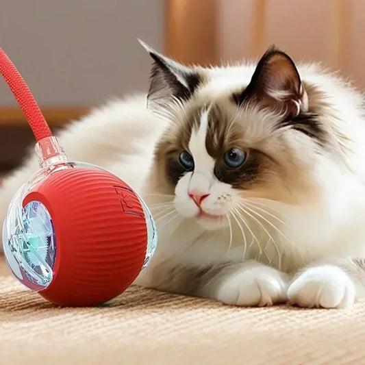 Smart Interactive Pet Ball