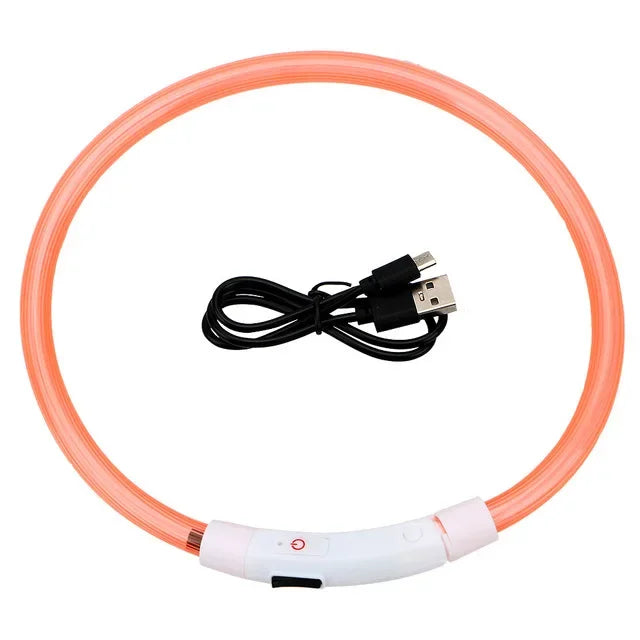 Pawfectly Pawsome USB LED Dog Collar