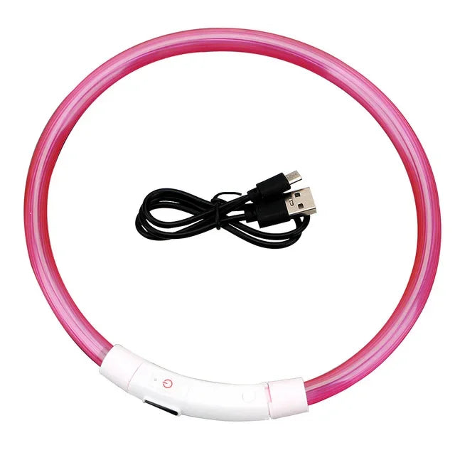 Pawfectly Pawsome USB LED Dog Collar