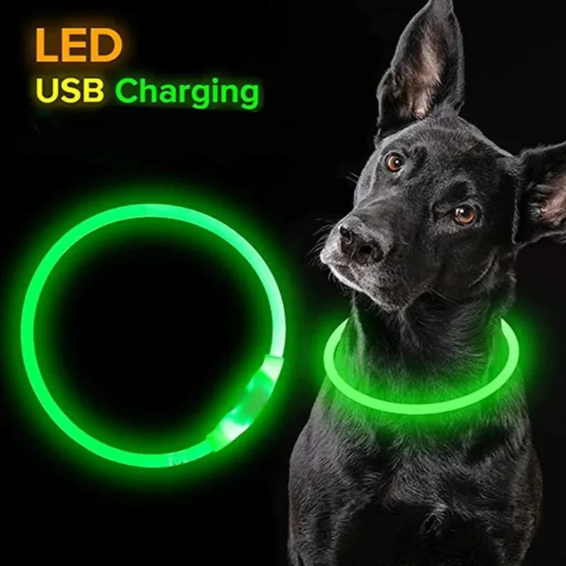 Pawfectly Pawsome USB LED Dog Collar
