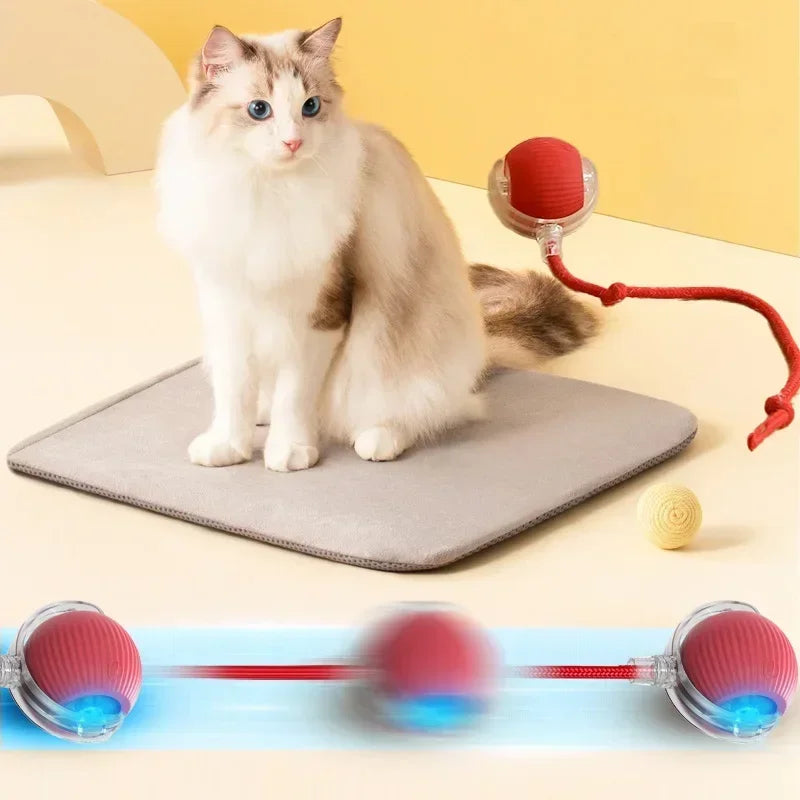 Smart Rolling Cat Teaser Ball