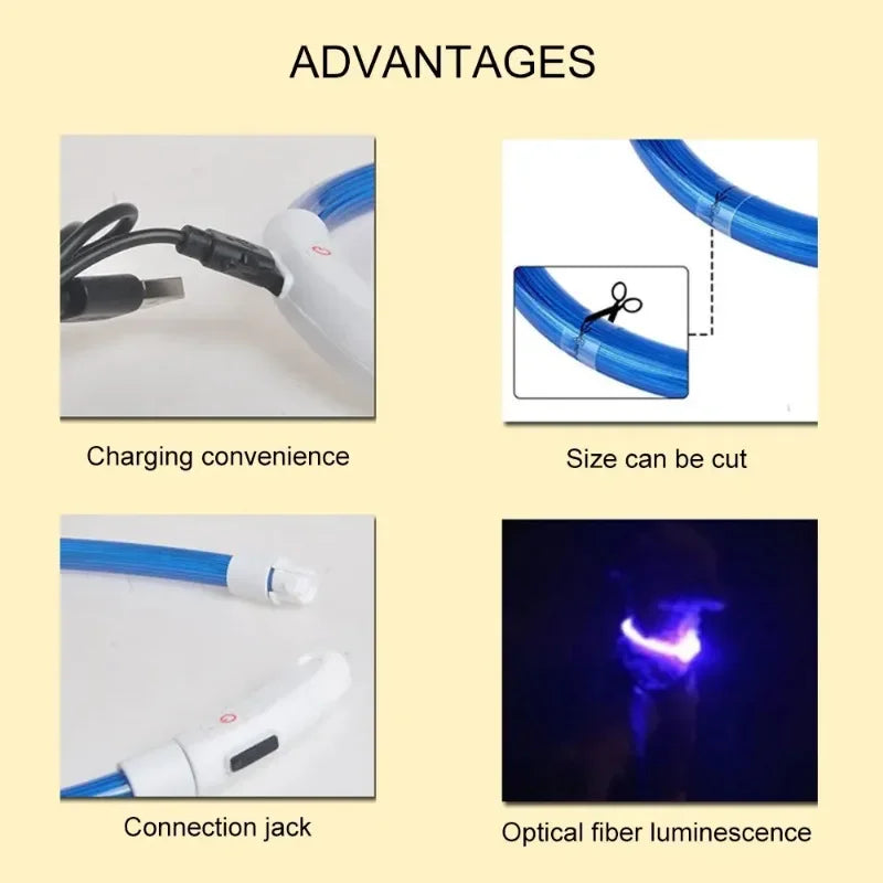 Pawfectly Pawsome USB LED Dog Collar