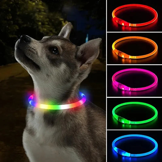 Pawfectly Pawsome USB LED Dog Collar