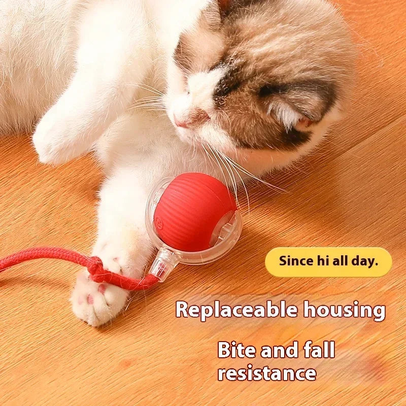 Smart Rolling Cat Teaser Ball