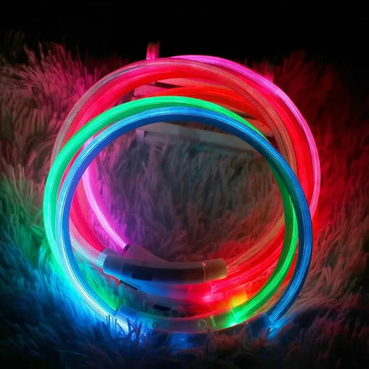 Pawfectly Pawsome USB LED Dog Collar