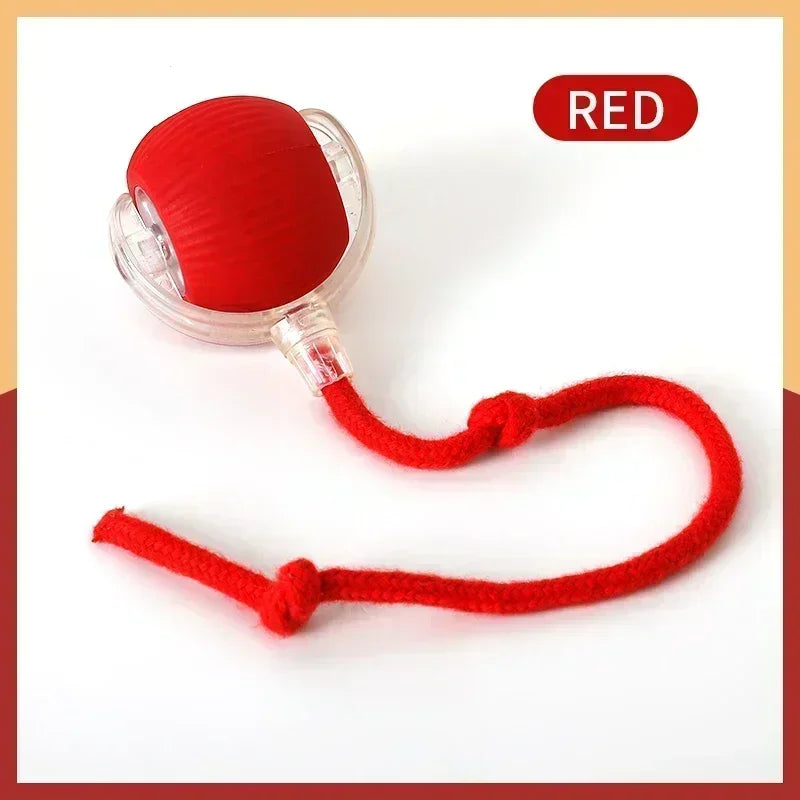Smart Rolling Cat Teaser Ball