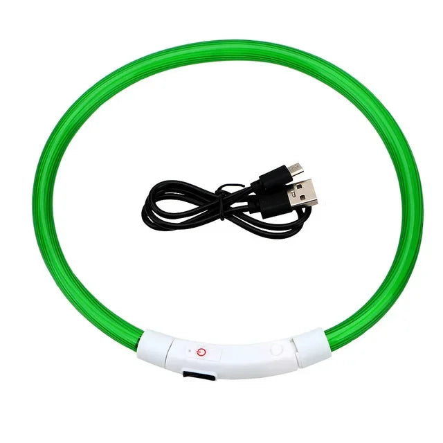 Pawfectly Pawsome USB LED Dog Collar