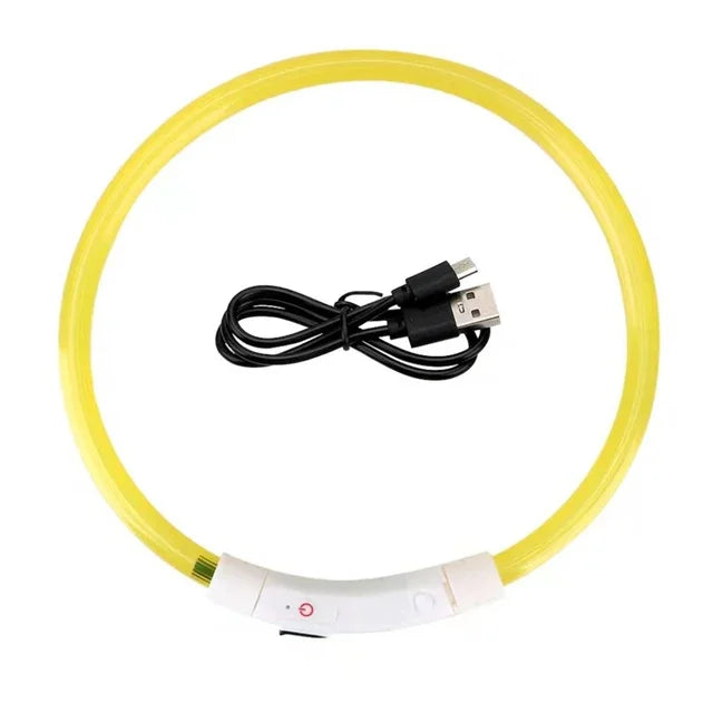 Pawfectly Pawsome USB LED Dog Collar