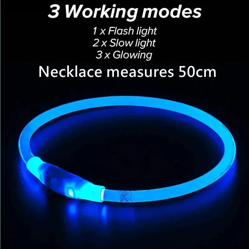 Pawfectly Pawsome USB LED Dog Collar