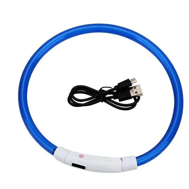 Pawfectly Pawsome USB LED Dog Collar