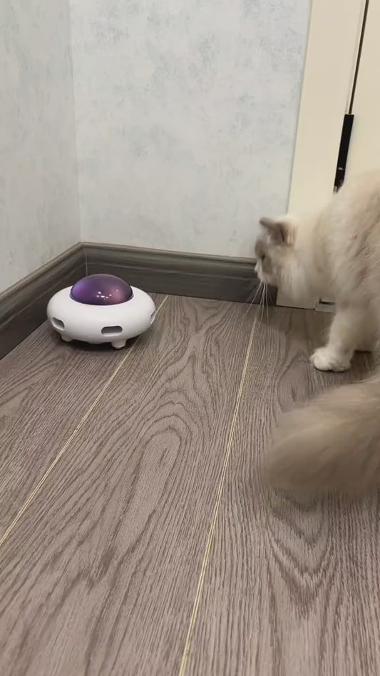 PawUFO Cat Teaser