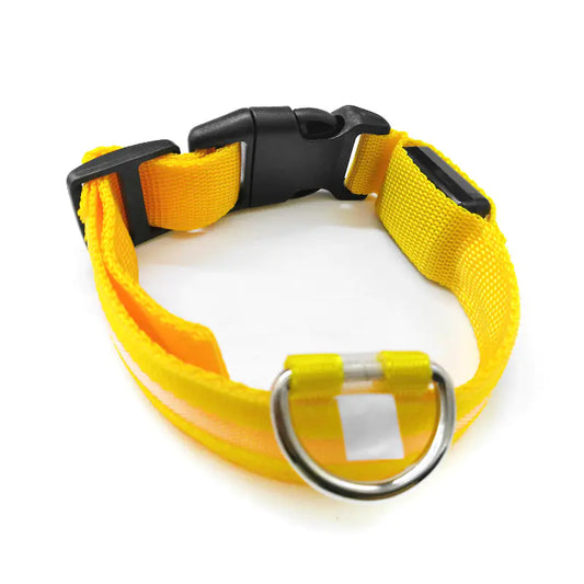 Luminous Anti-Lost Dog Tag Collar for Pets
